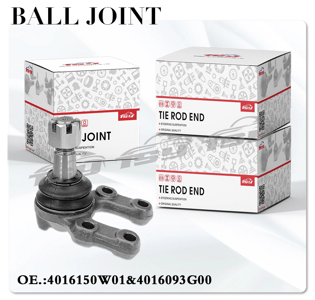 New Arrives Auto Parts OE 4016150W01 Steering Ball Joint for Nissan