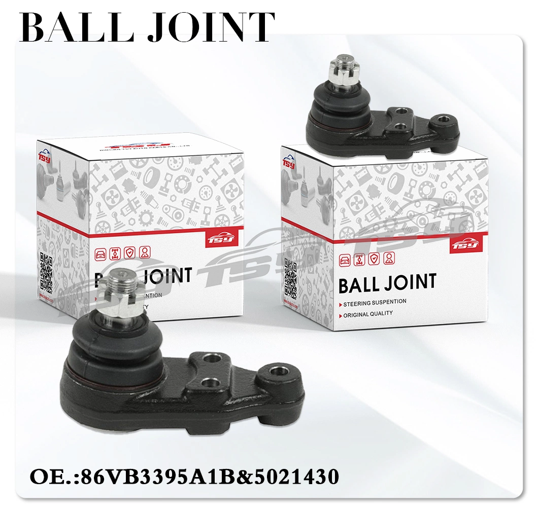 New Product Spare Parts OE 86vb3395A1b Suspension Ball Joint for Ford